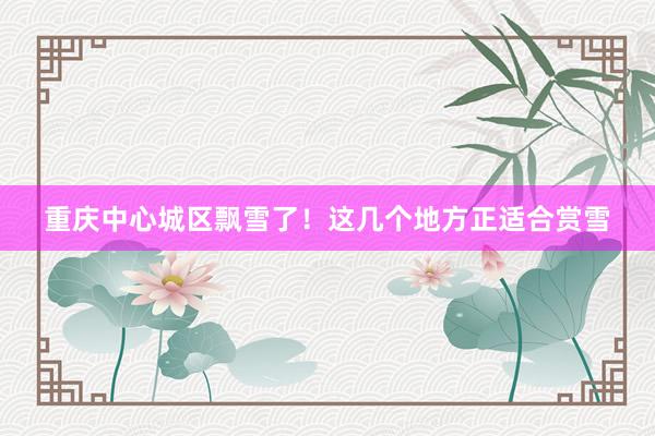 重庆中心城区飘雪了！这几个地方正适合赏雪