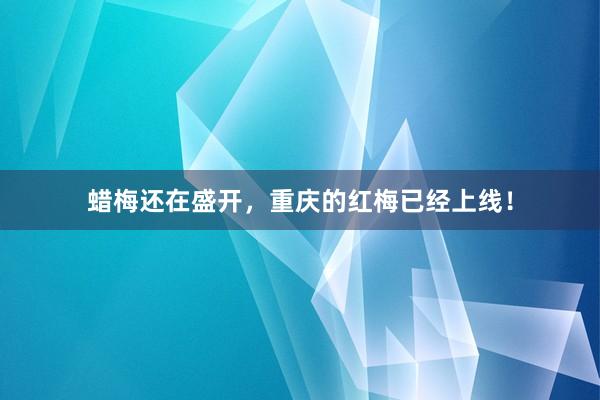 蜡梅还在盛开，重庆的红梅已经上线！