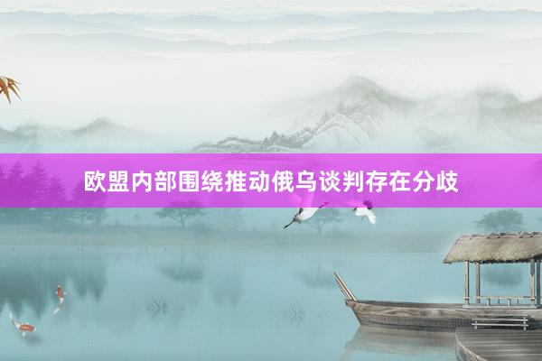 欧盟内部围绕推动俄乌谈判存在分歧