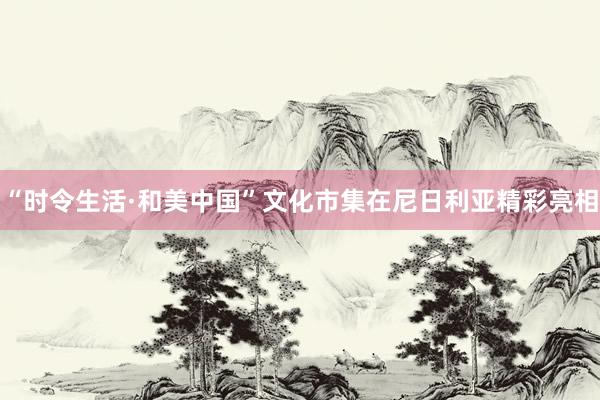 “时令生活·和美中国”文化市集在尼日利亚精彩亮相
