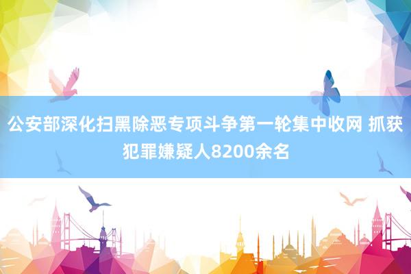 公安部深化扫黑除恶专项斗争第一轮集中收网 抓获犯罪嫌疑人8200余名