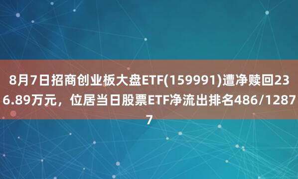 8月7日招商创业板大盘ETF(159991)遭净赎回236.89万元，位居当日股票ETF净流出排名486/1287