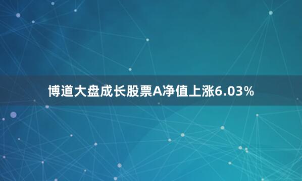 博道大盘成长股票A净值上涨6.03%
