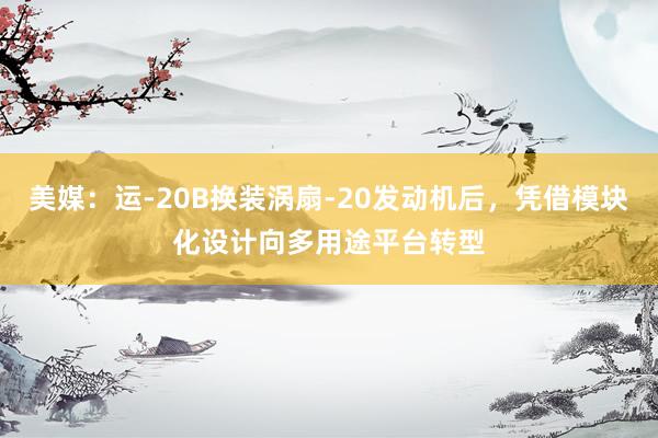 美媒：运-20B换装涡扇-20发动机后，凭借模块化设计向多用途平台转型