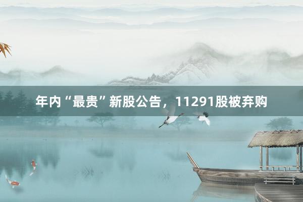 年内“最贵”新股公告，11291股被弃购
