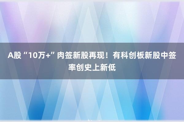 A股“10万+”肉签新股再现！有科创板新股中签率创史上新低
