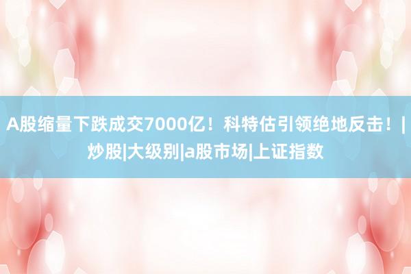 A股缩量下跌成交7000亿！科特估引领绝地反击！|炒股|大级别|a股市场|上证指数