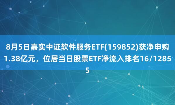 8月5日嘉实中证软件服务ETF(159852)获净申购1.38亿元，位居当日股票ETF净流入排名16/1285