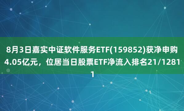 8月3日嘉实中证软件服务ETF(159852)获净申购4.05亿元，位居当日股票ETF净流入排名21/1281