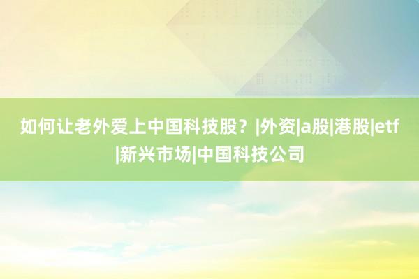 如何让老外爱上中国科技股?|外资|a股|港股|etf|新兴市场|中国科技公司