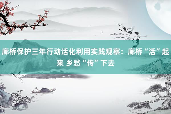 廊桥保护三年行动活化利用实践观察：廊桥“活”起来 乡愁“传”下去