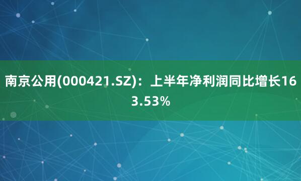 南京公用(000421.SZ)：上半年净利润同比增长163.53%