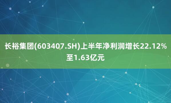 长裕集团(603407.SH)上半年净利润增长22.12%至1.63亿元