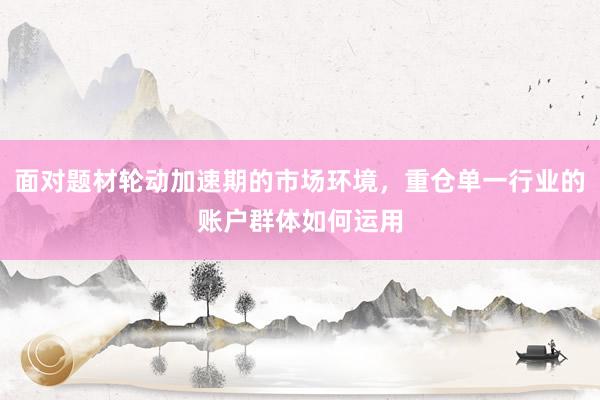 面对题材轮动加速期的市场环境，重仓单一行业的账户群体如何运用