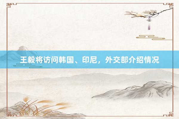 王毅将访问韩国、印尼，外交部介绍情况