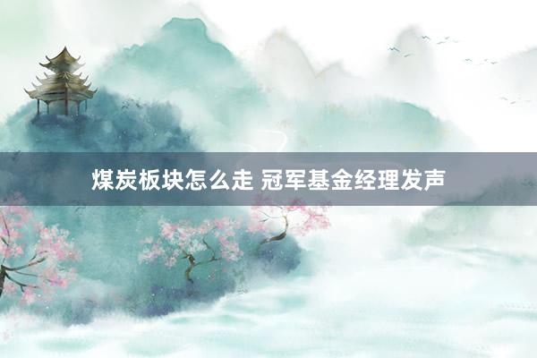 煤炭板块怎么走 冠军基金经理发声