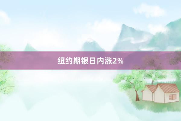 纽约期银日内涨2%