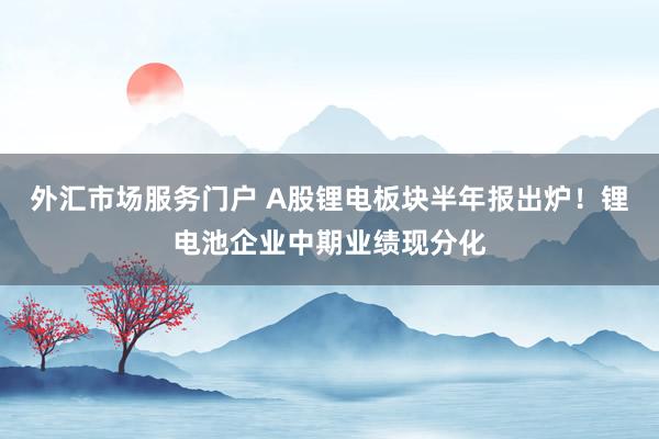 外汇市场服务门户 A股锂电板块半年报出炉！锂电池企业中期业绩现分化