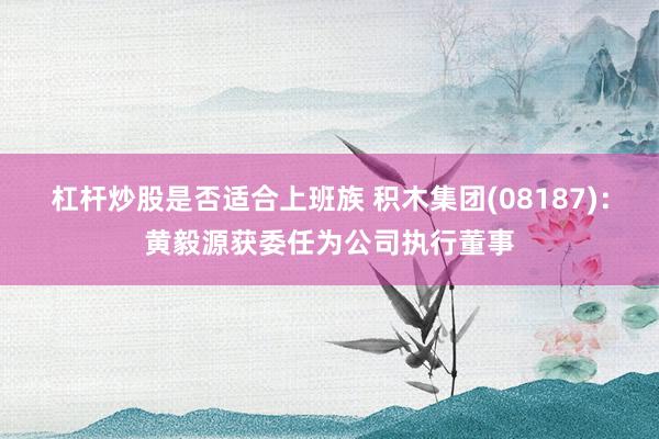 杠杆炒股是否适合上班族 积木集团(08187)：黄毅源获委任为公司执行董事