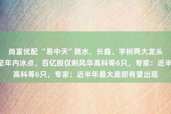 尚富优配 “易中天”跳水，长鑫、宇树两大龙头熄火，A股成交额降至年内冰点，百亿股仅剩风华高科等6只，专家：近半年最大底部有望出现
