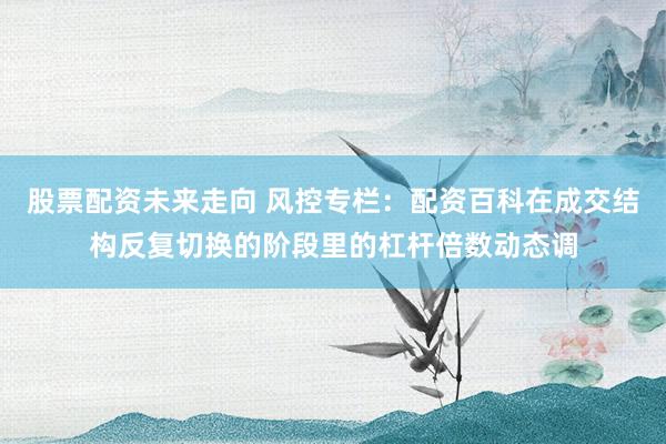 股票配资未来走向 风控专栏：配资百科在成交结构反复切换的阶段里的杠杆倍数动态调