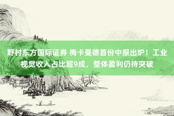 野村东方国际证券 梅卡曼德首份中报出炉！工业视觉收入占比超9成，整体盈利仍待突破