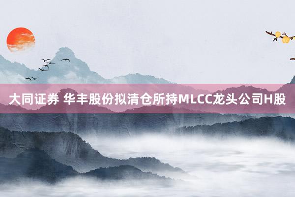 大同证券 华丰股份拟清仓所持MLCC龙头公司H股