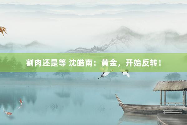 割肉还是等 沈皓南：黄金，开始反转！