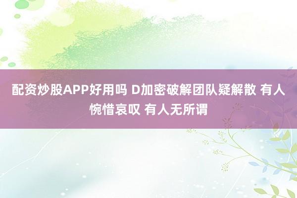 配资炒股APP好用吗 D加密破解团队疑解散 有人惋惜哀叹 有人无所谓