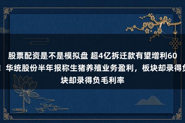 股票配资是不是模拟盘 超4亿拆迁款有望增利6000万元！华统股份半年报称生猪养殖业务盈利，板块却录得负毛利率