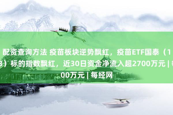 配资查询方法 疫苗板块逆势飘红，疫苗ETF国泰（159643）标的指数飘红，近30日资金净流入超2700万元 | 每经网